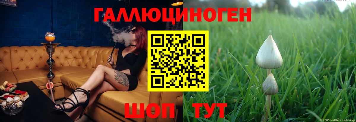 Псилоцибиновые грибы мухоморы  наркота  Балашов  Вход с VPN 